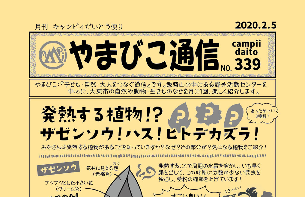 やまびこ通信 339号 発熱する植物 ザゼンソウ ハス ヒトデカズラ キャンピィだいとう やまびこ通信 339号 発熱する植物 ザゼンソウ ハス ヒトデカズラ キャンピィだいとう